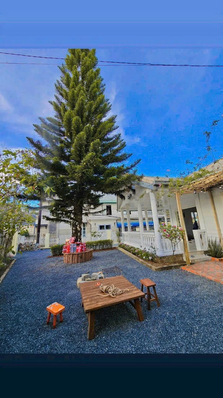 Dì Xuất Ngoại Để Trả nợ cho con Trai Đành ngậm Ngùi Bán Lỗ Lô Gần Trung tâm 3500m2 Giá 503tr
