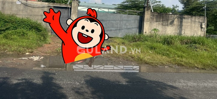 BÁN 1456M2 ĐẤT THỔ CƯ MẶT TIỀN ĐẶNG CÔNG BỈNH XÃ XUÂN THỚI THƯỢNG HÓC MÔN