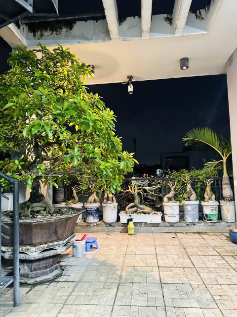 CHỦ GẤP BÁN  GIẢM 1 TỶ GIÁ MỚI 9 TỶ


MẶT TIỀN  83M2  4 TẦNG ĐÚC BTCT  HOÀN CÔNG ĐỦ 6PN ĐẶNG MINH TRỨ P10 TÂN BÌNH