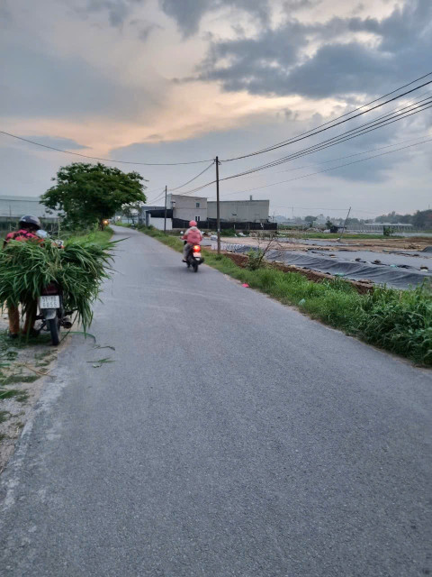 (B447) Đất  đẹp mặt tiền Đặng Thị Thưa , xã Tân Thạnh Đông, dt 740m2, có thổ 243m2, giá 6 tỷ 500