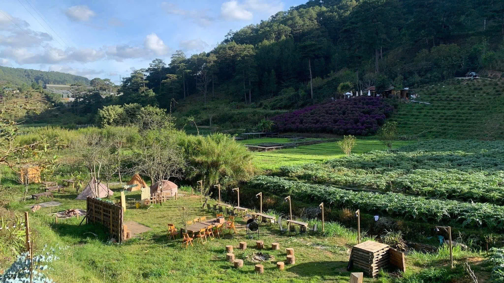 BÁN 2,4 hecta đất phường LangBiang ,Đà Lạt view cực đẹp