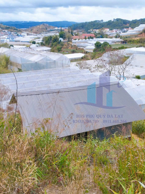 Bán Đất hẻm xe hơi đường Đankia, Phường 7, Đà Lạt 1985,75mv