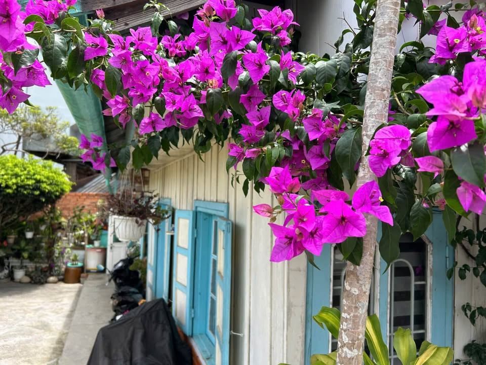 Bán căn nhà Gỗ mang đậm nét Đà Lạt xưa xinh xắn view đẹp tại đường ĐÀO DUY TỪ, P4, ĐÀ LẠT.
