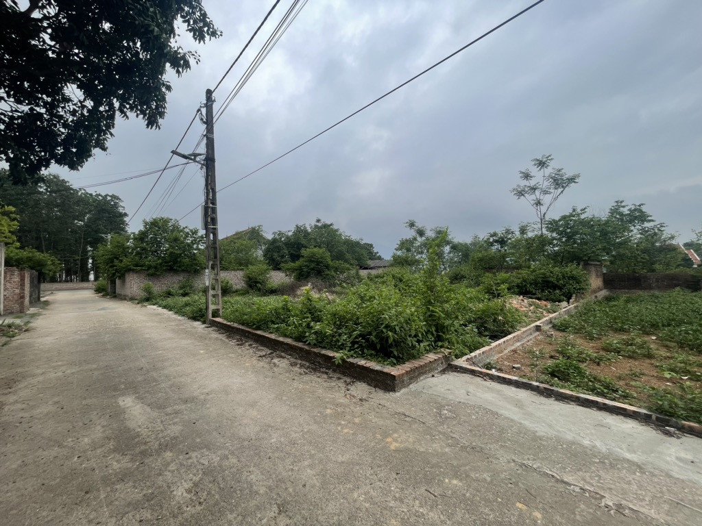 Bán đất 126,9m² ngang 5,5m giá 3.2 tỷ Xã Kim Anh