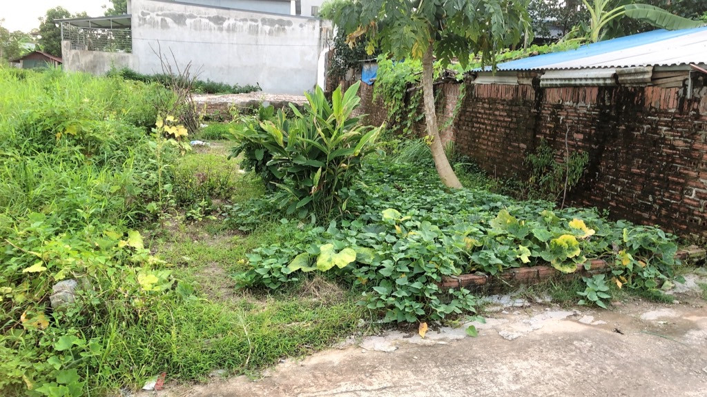 Bán đất 81m² ngang 5m giá 2.9 tỷ Xã Sóc Sơn