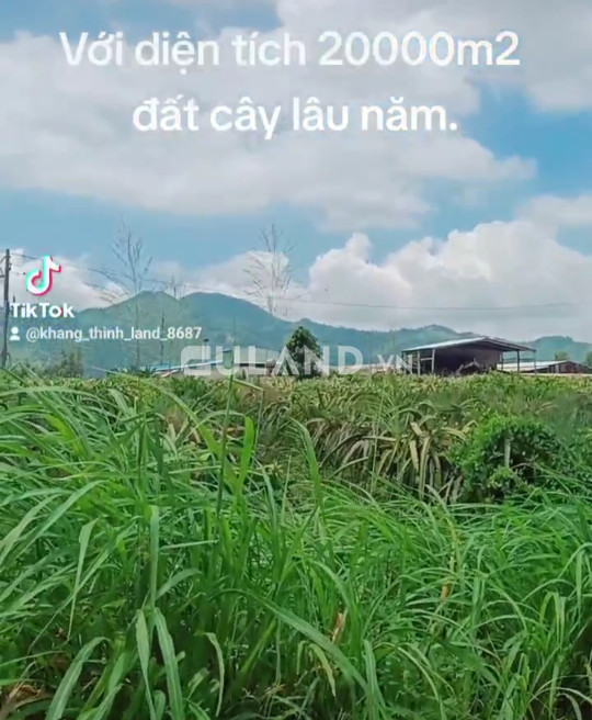 Bán đất mẫu nông nghiệp có điện nước đầy đủ, gần đường QL1