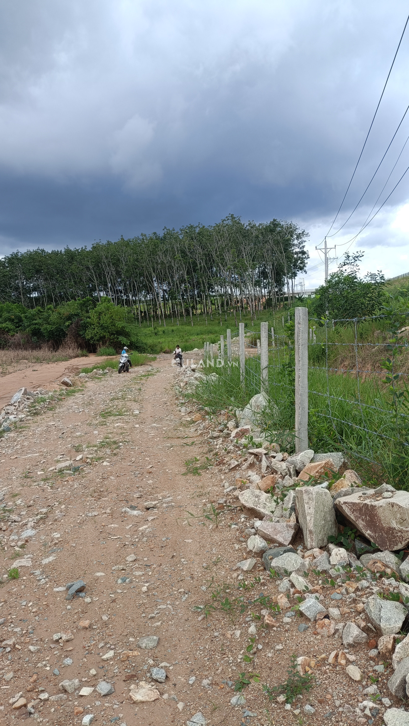 Bán đất 3,3 mẫu nông nghiệp mặt tiền đường dân sinh cao tốc Dầu giây - Phan Thiết