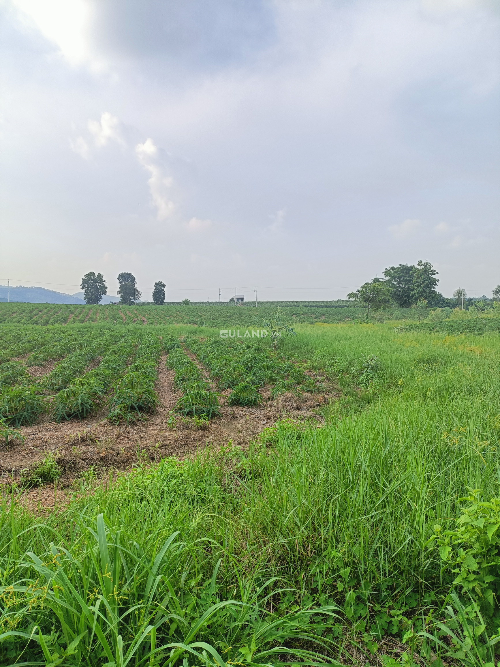 Bán 4121m2 đất cây lâu năm có view suối nước quanh năm