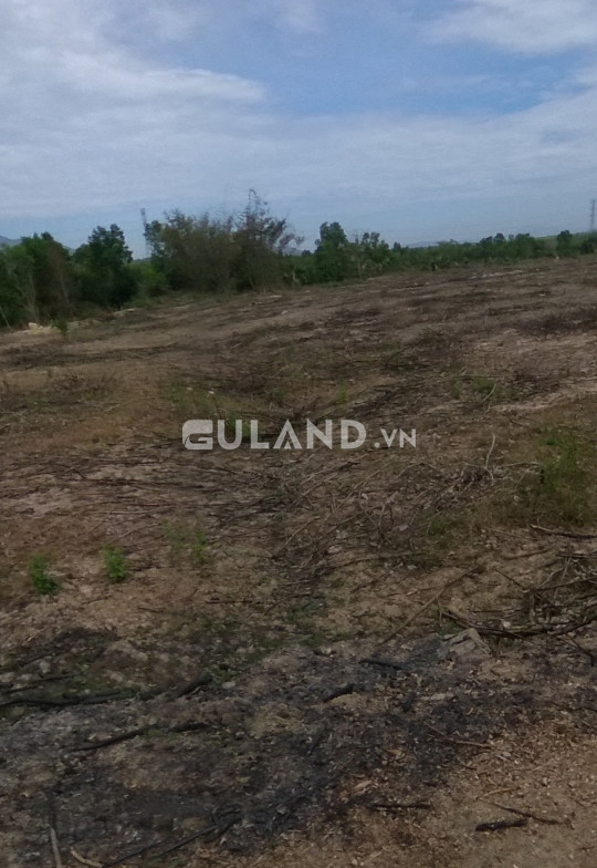 Bán đất sào giá rẻ