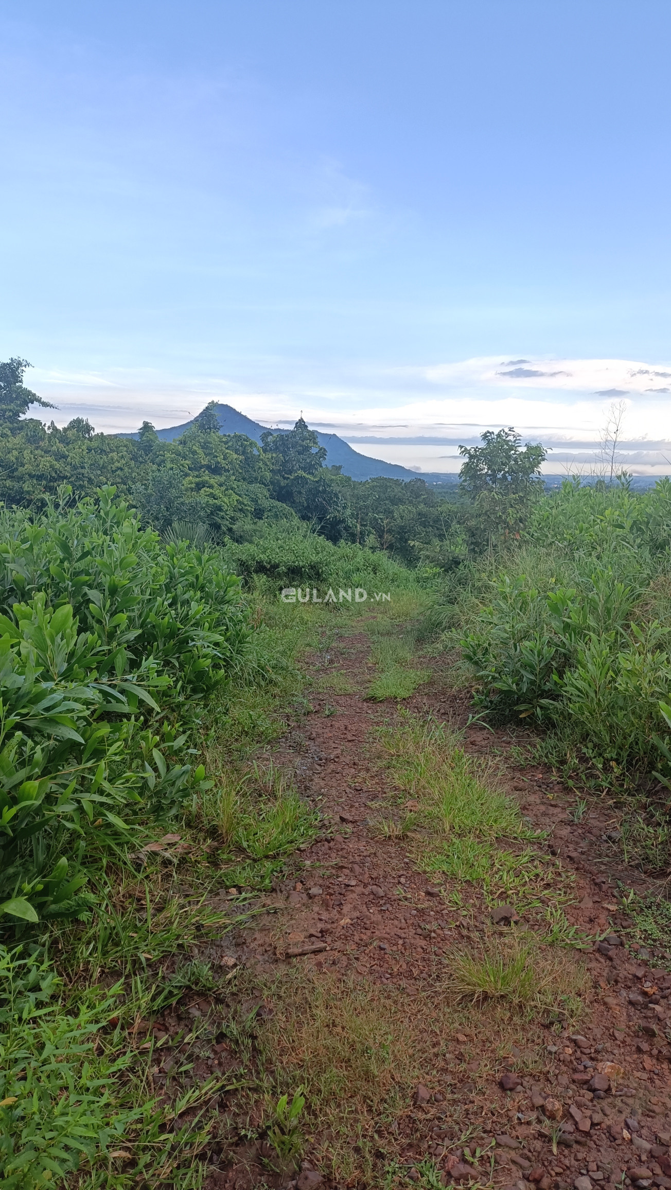 Bán đất 210000m² 35 tỷ tại Xã Tân Lập Huyện Hàm Thuận Nam