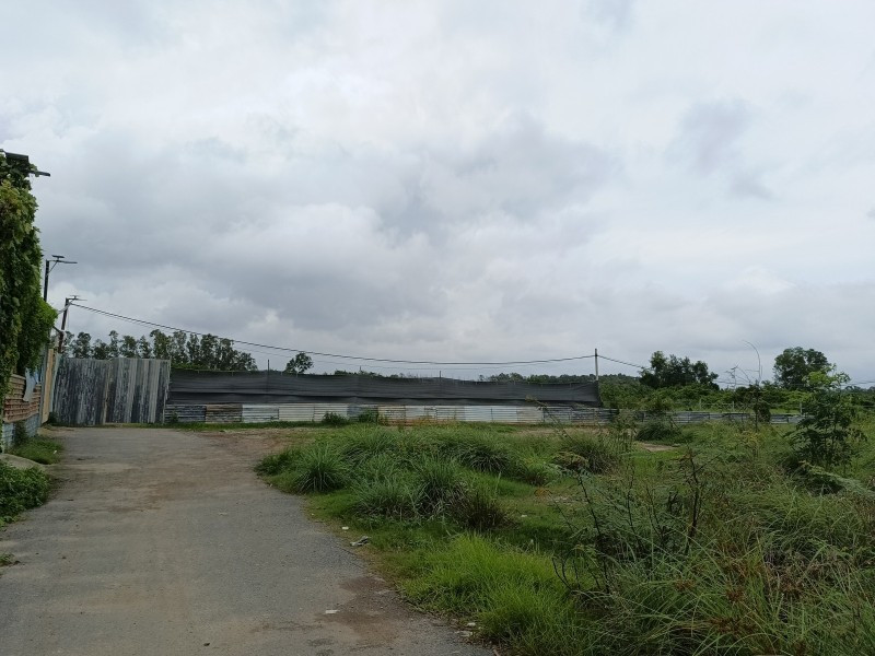 BÁN LÔ ĐẤT VƯỜN 1000M2- GIÁ CHỈ HƠN 5 TRIỆU/M2- CHỢ VĨNH LỘC B- BÌNH CHÁNH-GỌI CHO EM XEM ĐẤT