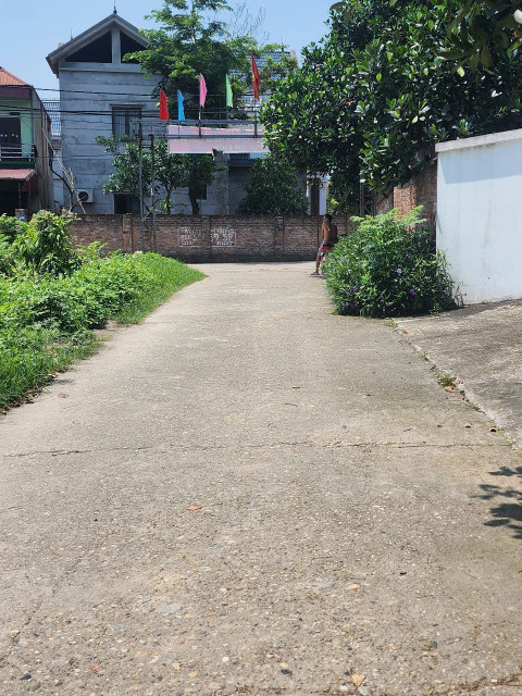 Bán đất 100m² ngang 8m tại Xã Hiền Ninh Huyện Sóc Sơn
