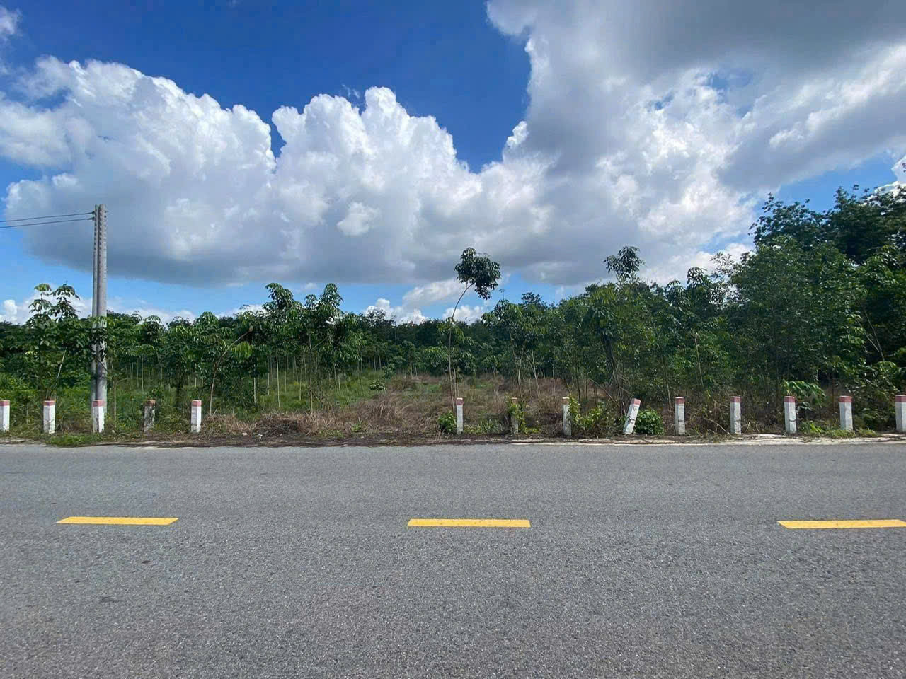 Bán đất 280.3m2 (100m2) mặt tiền DH504 32m giá 590tr, đối diện trường tiểu học Phước Sang
