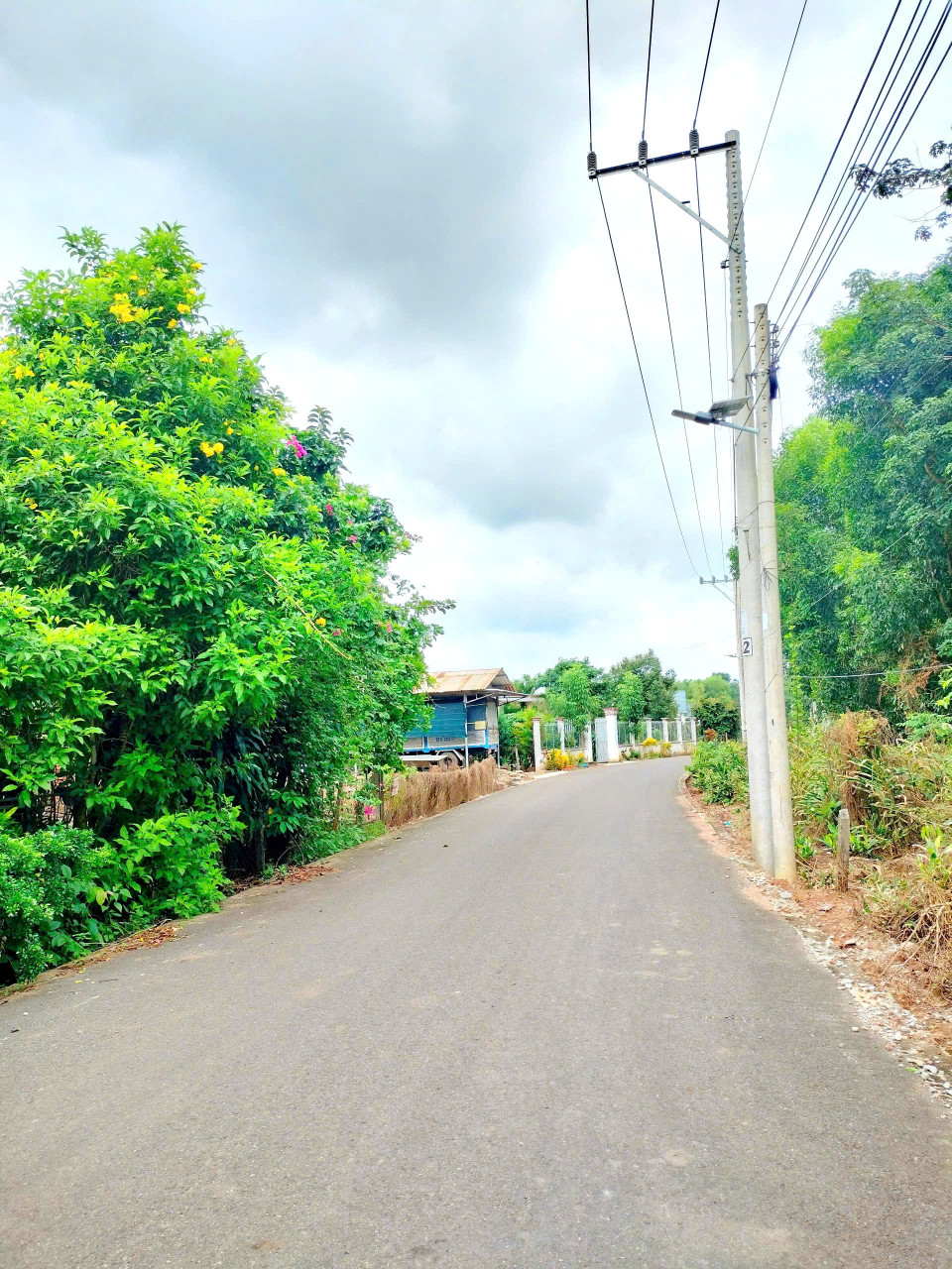 BÁN ĐẤT THỔ CƯ ĐƯỜNG NHỰA ĐỐI DIỆN TRƯỜNG HỌC