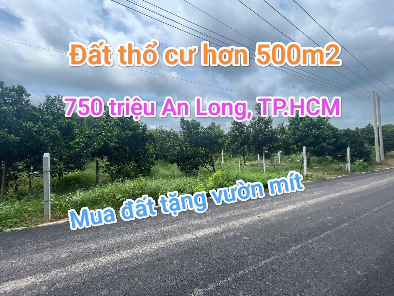 Bán đất thổ cư có sẵn mít trên đất mặt tiền 10m, giá 750 full sổ