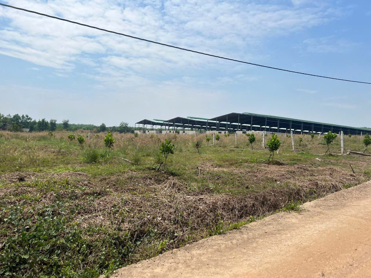 LÔ ĐẤT XÀO 1000M2 CỰC HIẾM PHÍA SAO CÓ SUỐI NẰM TRÊN KHU VỰC PHỦ HỒNG