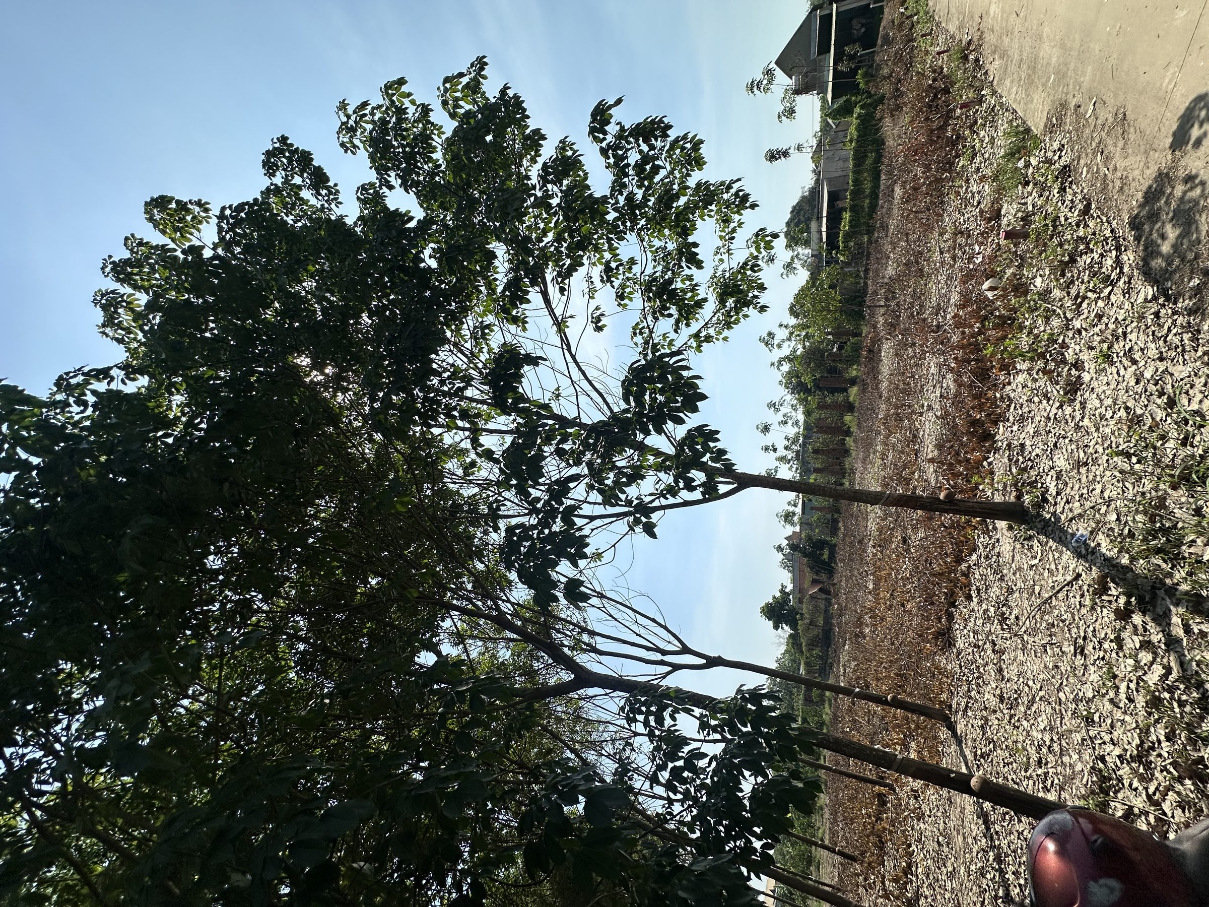 Bất Động Sản Phú Giáo Bình dương