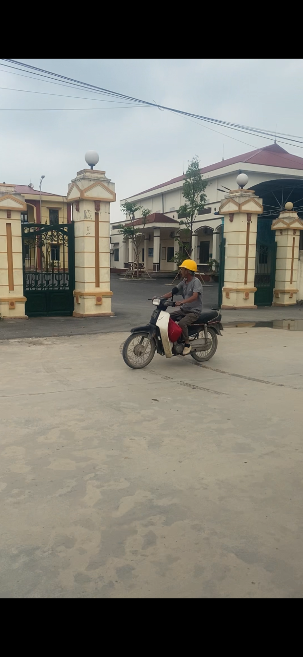 Cần bán
