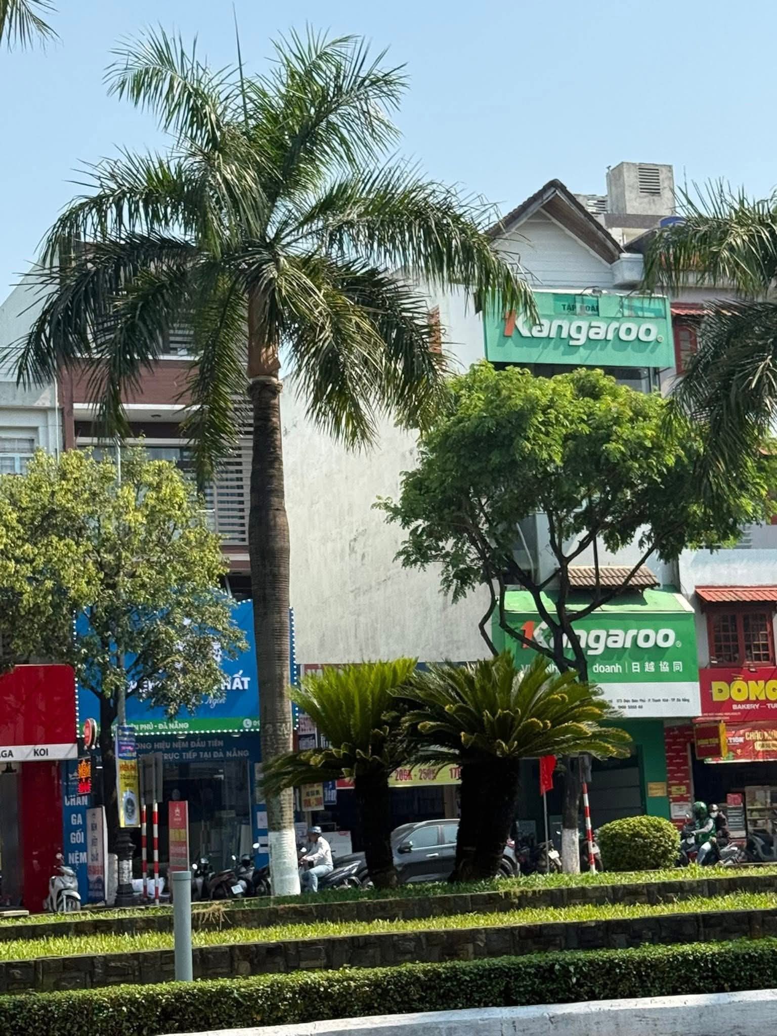 Nhà 4 Tầng, Đường Điện Biên Phủ, Thanh Khê, Đà Nẵng ( Đang cho thuê 30tr/th )