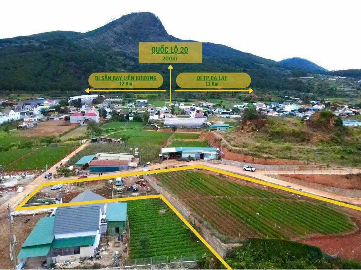 Bán Đất SHR Định An Giá Rẻ