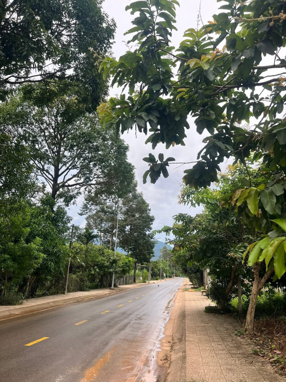 Chính chủ