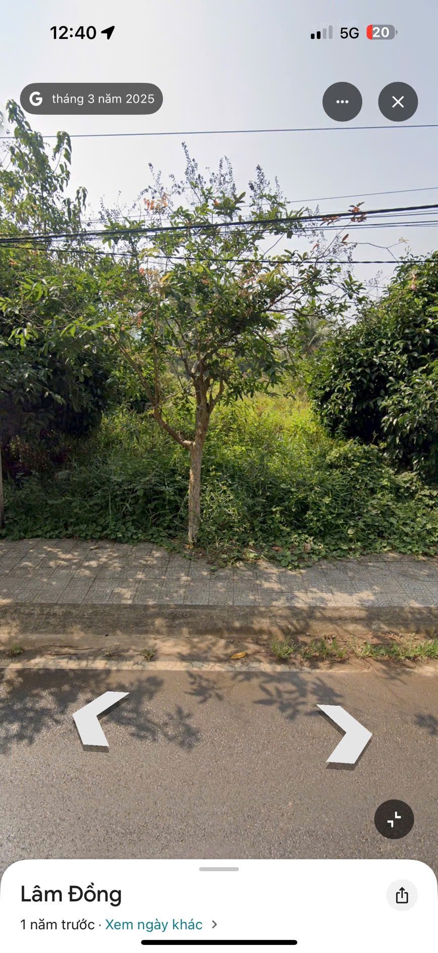 Cách Đại Tùng Lâm Hoa sen 300m