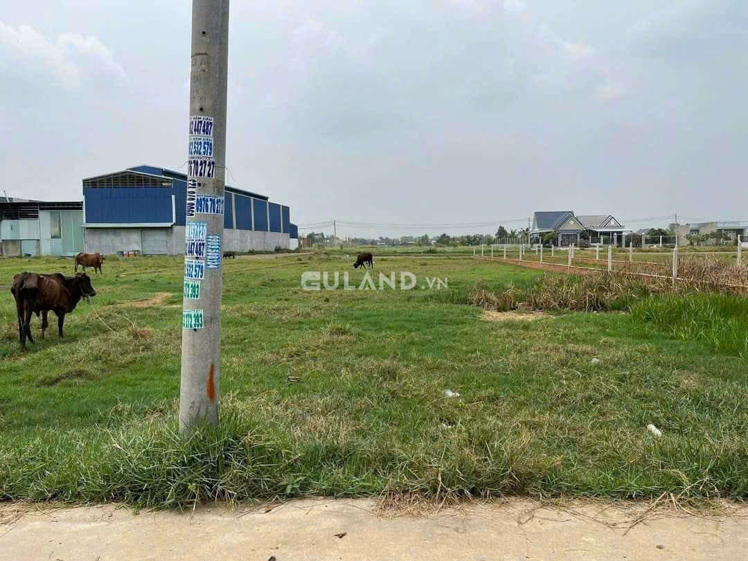 Cần bán lô đất 90m2 full thổ 1tỷ350 chợ Bình Chánh