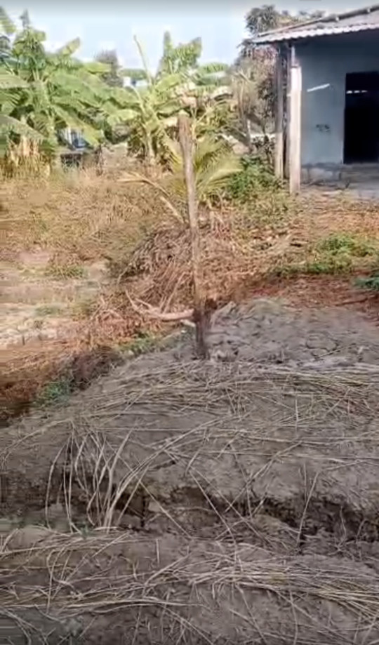 Cần bán nhanh