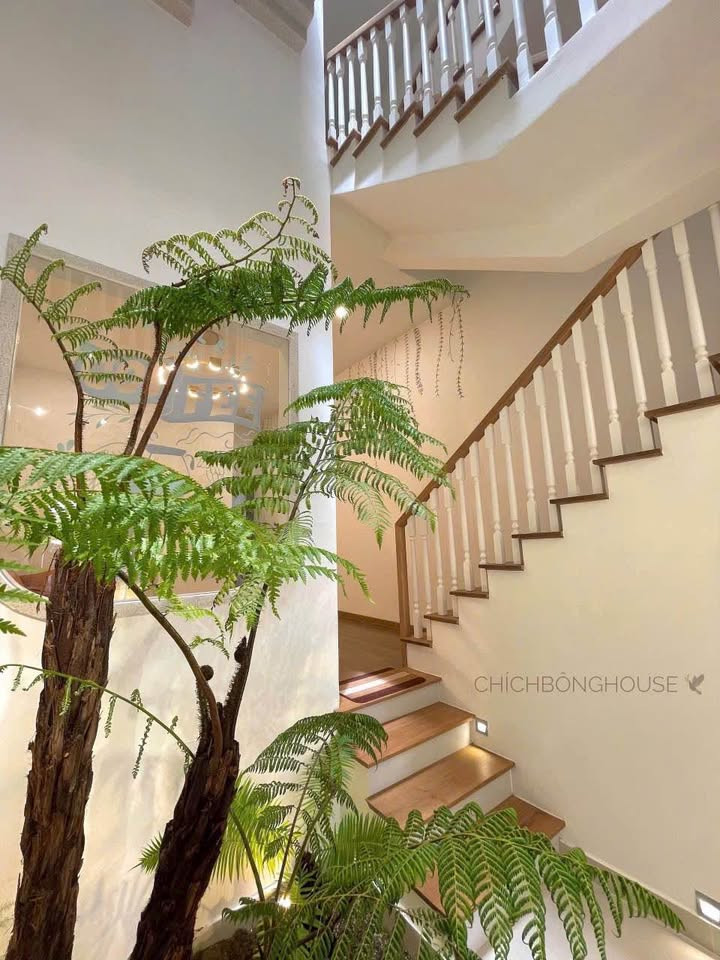 Cần Bán Căn Homestay - Khách sạn - Quán Cafe toạ lạc mặt tiền đường Đoàn Thị Điểm, P. Xuân Hương, Đà Lạt