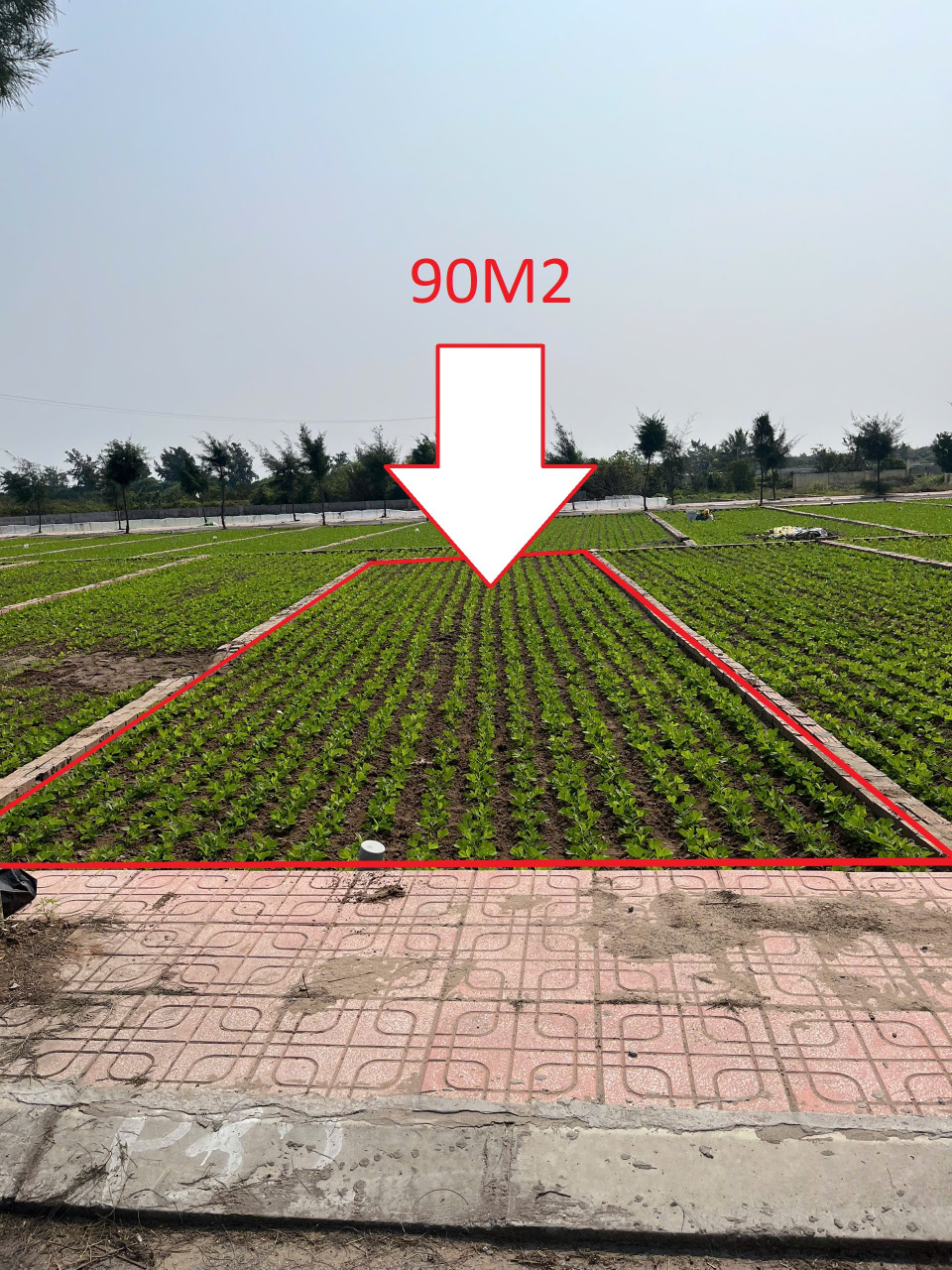 CẦN BÁN 90m2 sát bãi tắm Giao Phong chỉ từ 20tr/m2