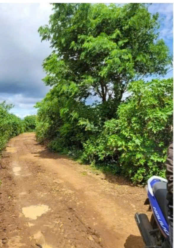 BÁN 2009M2 ĐẤT TỔ 32 THỊ TRẤN LIÊN NGHĨA ĐỨC TRỌNG LÂM ĐỒNG