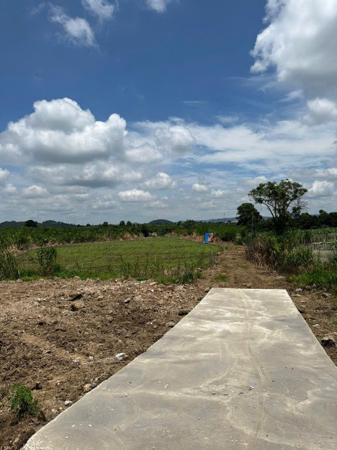 ĐẤT ĐẸP - GIÁ TỐT - Vị Trí Đắc Địa Tại Xã Tân Hội, Huyện Đức Trọng, Lâm Đồng