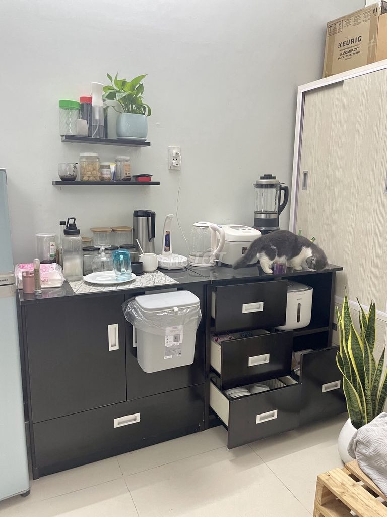 Bán Mặt Tiền Đội Cung p Phú Thọ