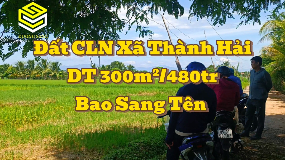 Đất CLN Thành Hải. Ổn Định Không Dính Quy Hoạch. Thích Hợp Làm Nhà Vườn Công Nghệ Cao