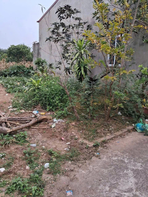 Bán đất Thôn 1, Vạn Phúc, Thanh Trì 70 4 3.8 tỷ