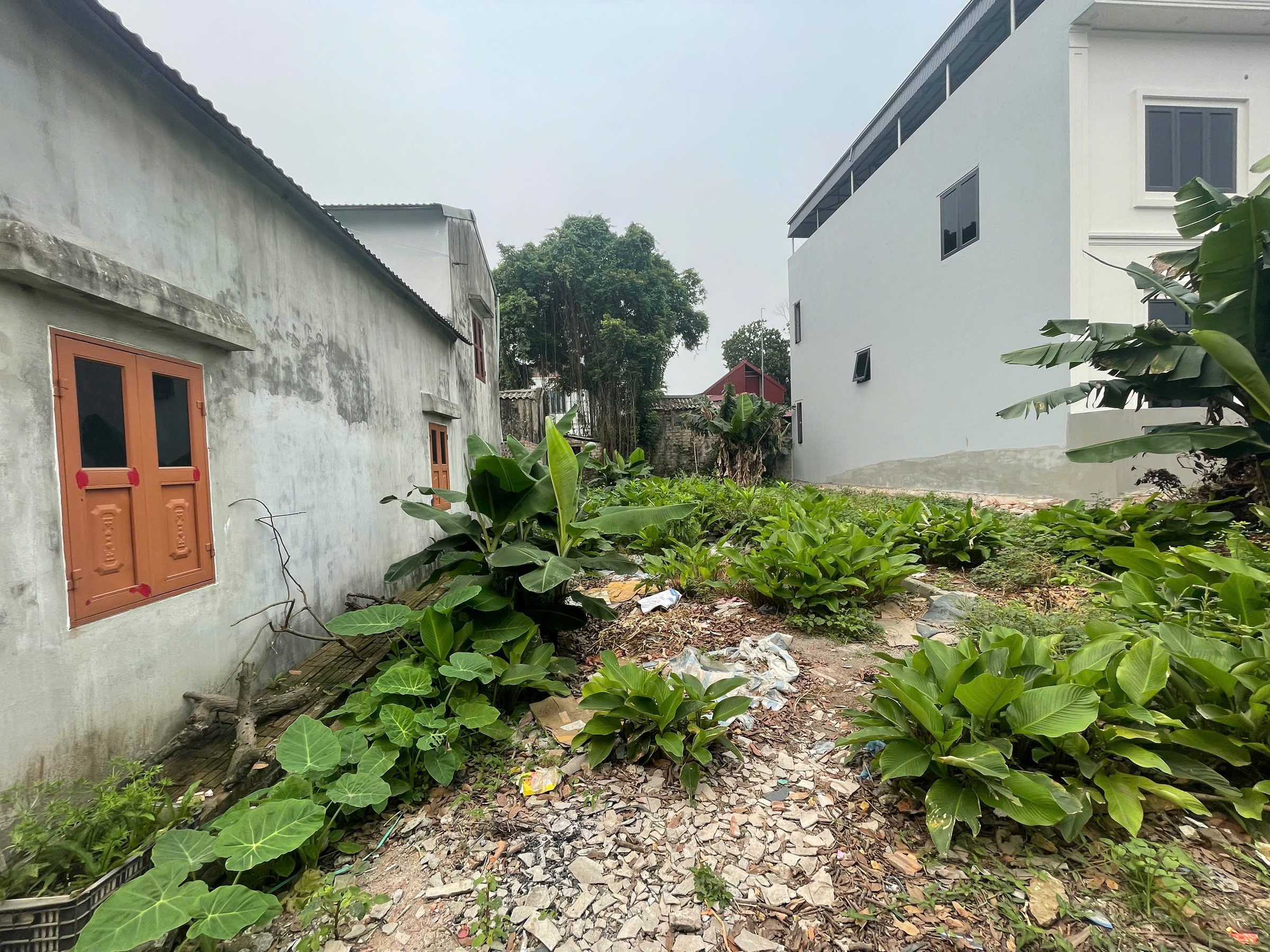 ĐẤT ĐẦU LÀNG TAM GIÁP HIẾM BÁN XÂY TRỌ NGAY