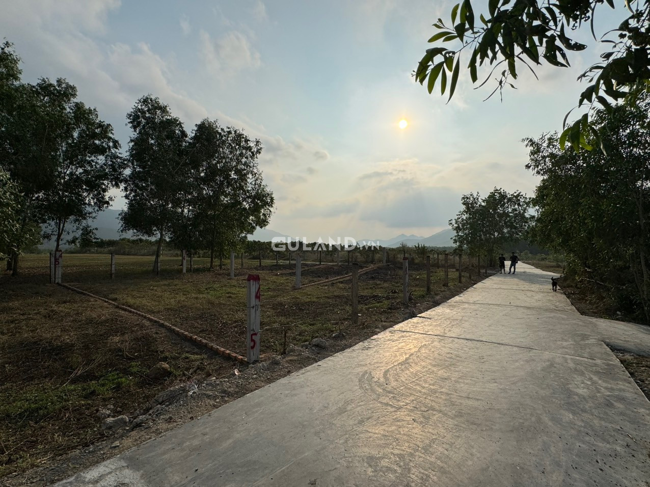 Bán đất 256 tr/lô  gần Dt5 Ninh Tân,gần Kcn  Ninh Xuân