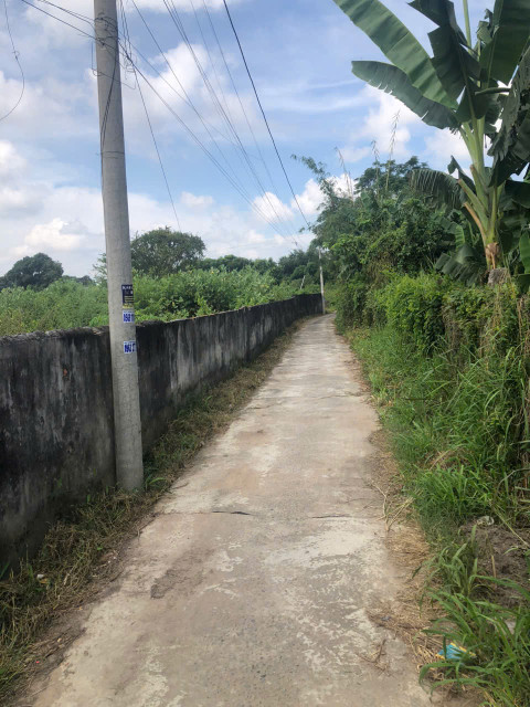 Bán 5m x 43m hẻm Nguyễn Chí Thanh - Tân Bình - TX LaGi 950 triệu