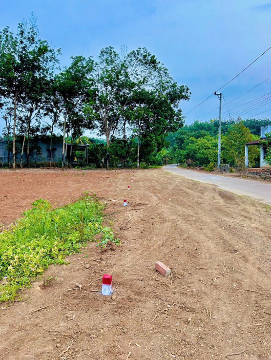 Đầu tư sinh lời cao