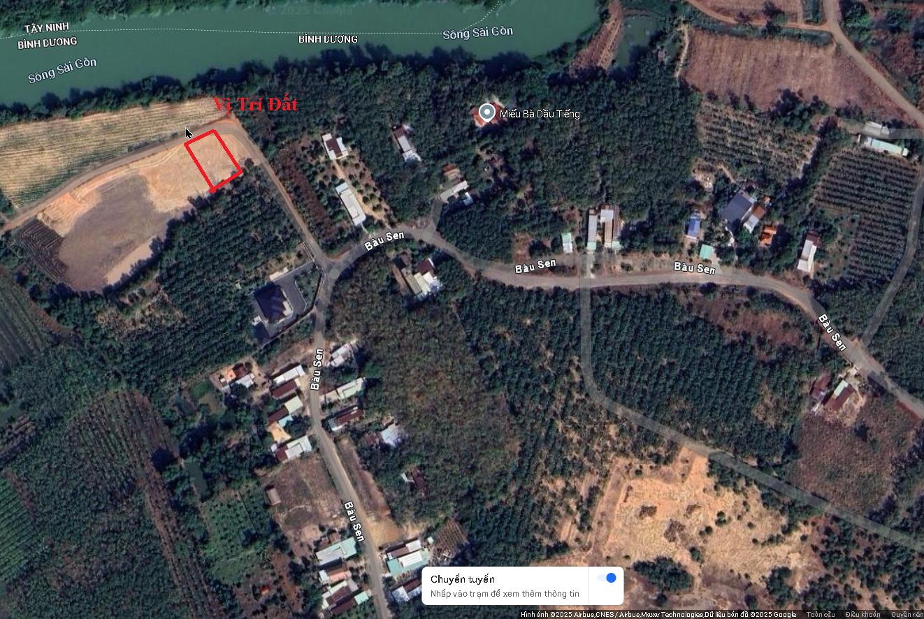 Bán gấp 5x50=255m² TC SHR, view sông Sài Gòn, TT Dầu Tiếng, MT nhựa DT744, giá chỉ 580tr