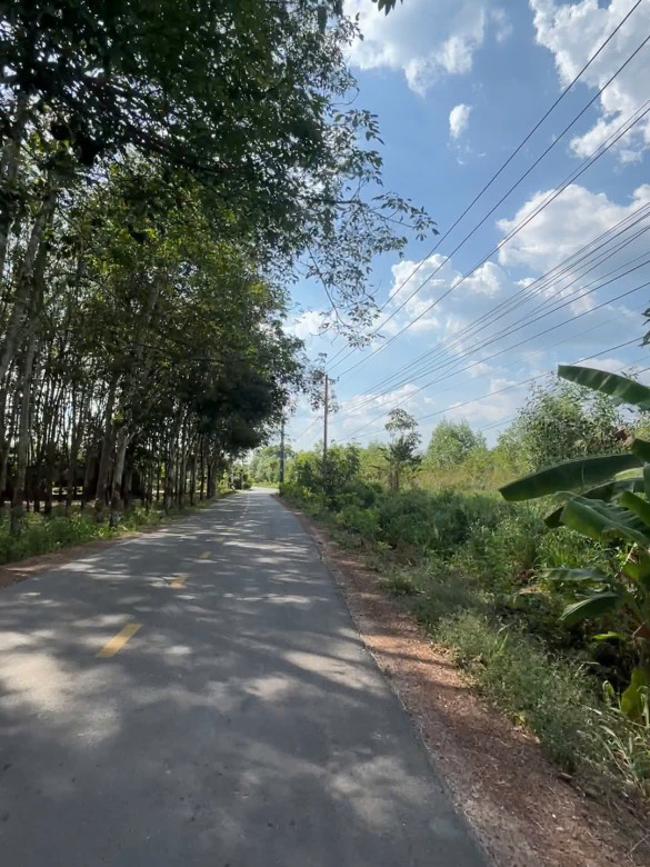 ĐẤT GIÁ RẺ TRỪ VĂN THỐ, BÀU BÀNG, BÌNH DƯƠNG