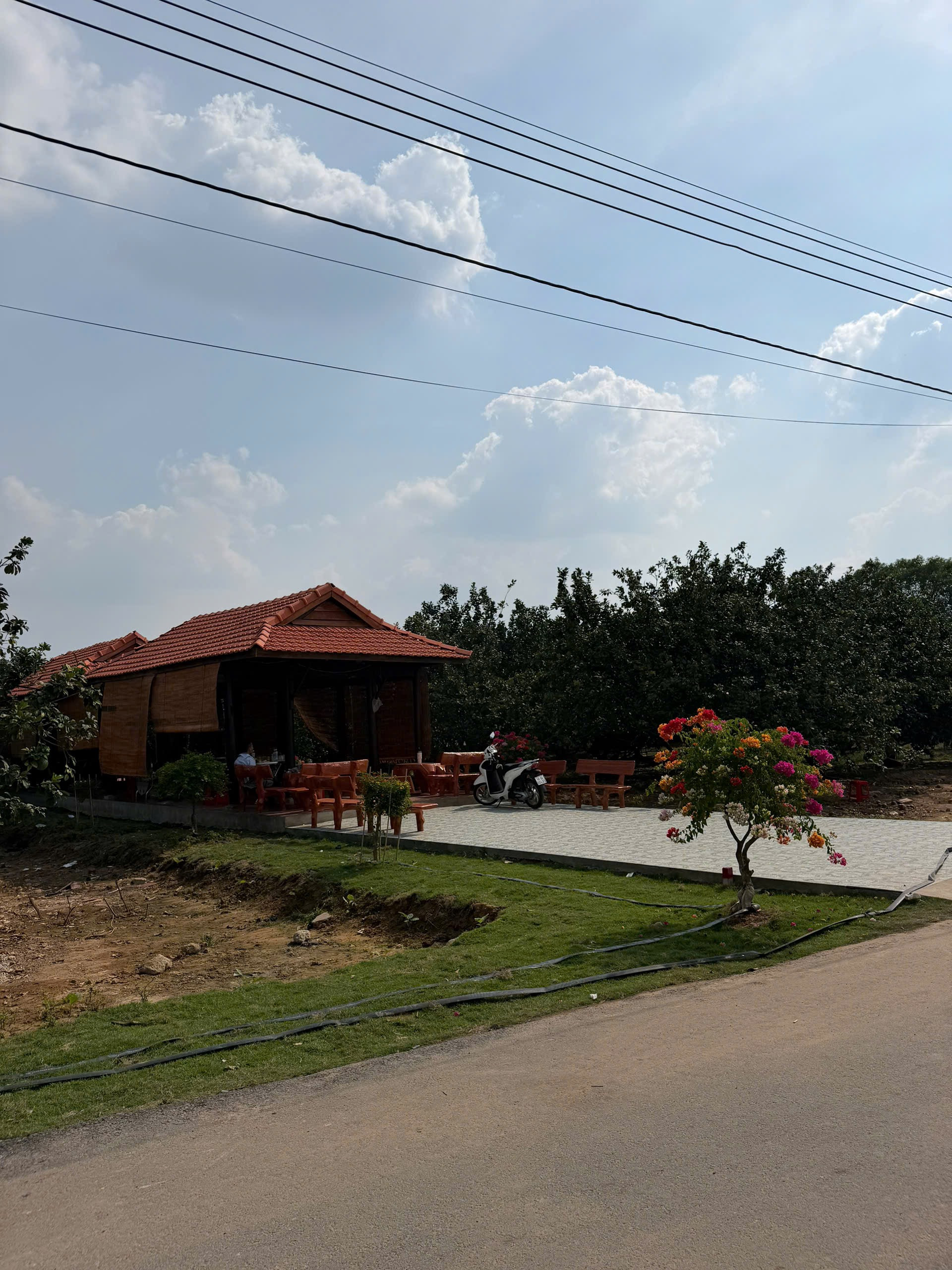 Đầu Tư Tại Vườn Bưởi Nở Hậu - Sổ Đỏ Chính Chủ, Gần Trường, Gần Chợ
