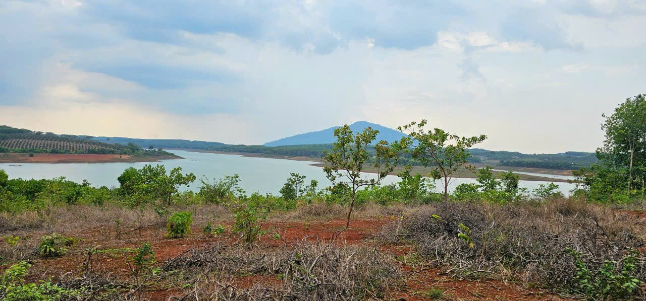Bán Đất View Hồ Thác Mơ – 150m Mặt Hồ, Giá 675k/m2