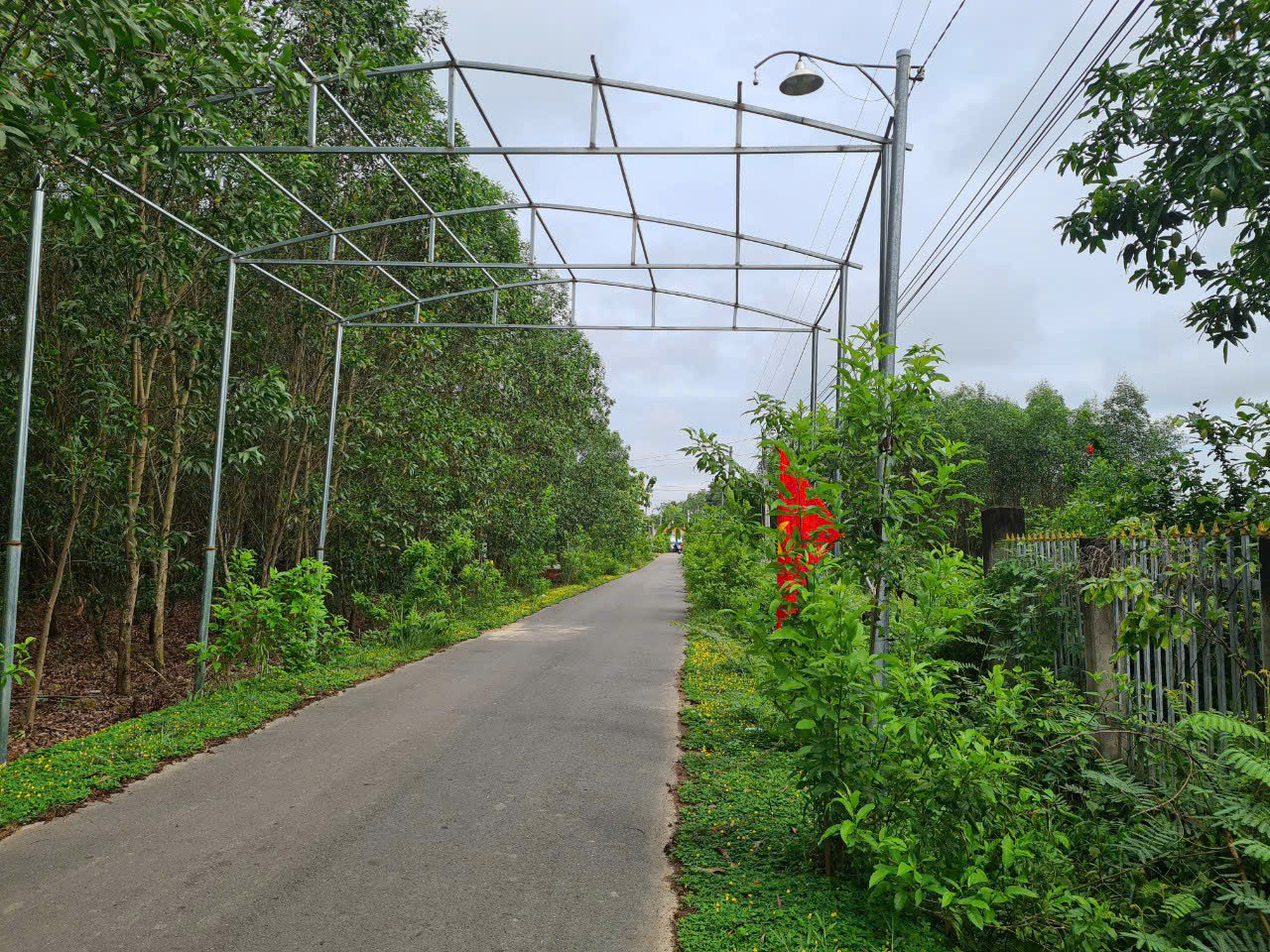 Bán nhà mặt tiền đường Trảng Tranh, sát đường DT761