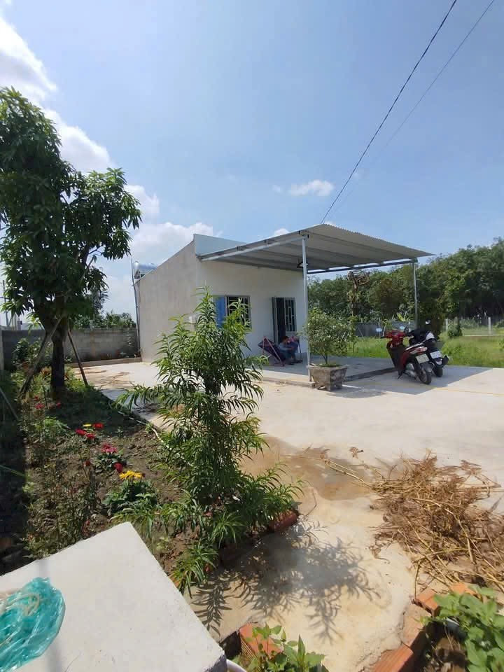 Đất Bình Lợi Sổ riêng ,đường ôtô Điện, nước có sẵn, hệ thống tưới cây tự động
