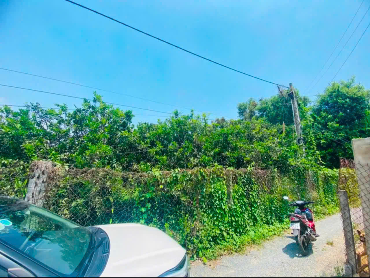 Bán Vườn Bưởi Tân Triều Đag Thu Hoạch,Đường Ô tô Có 300Thổ cư