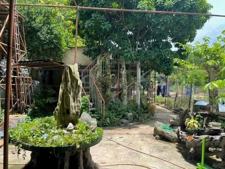 Nhà Vườn Tân Bình Vĩnh Cửu DT: 1.127m. 100m Thổ Cư. Đường xe Tải
