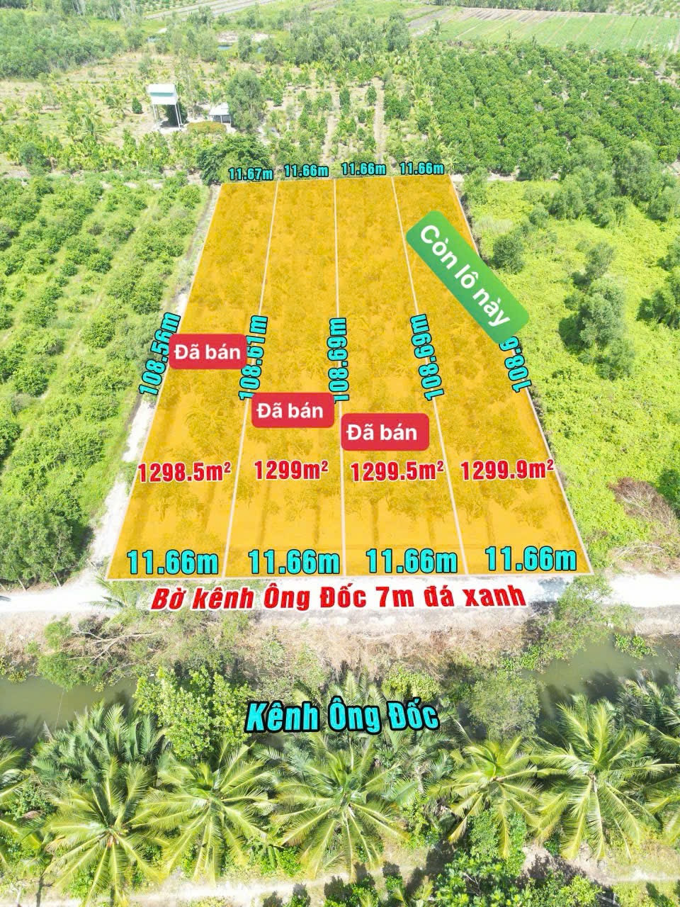 Đất vườn đường lên thổ mt kênh lớn. Bình Đức. Bến lức long an