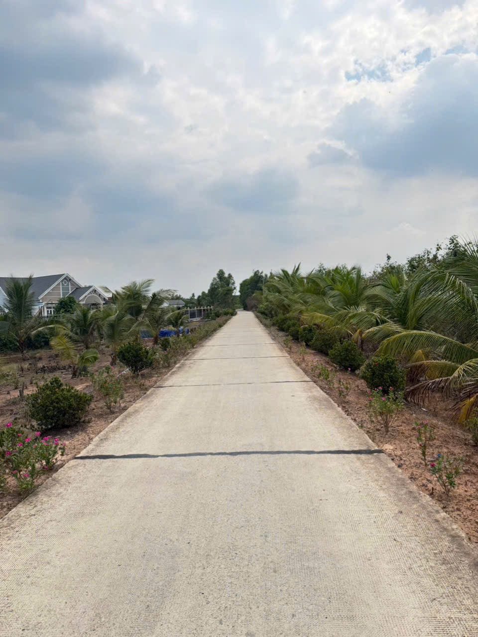 1000m2 đất vườn thạnh lợi bến lức long an ( đầu tư phân đuợc 2lô