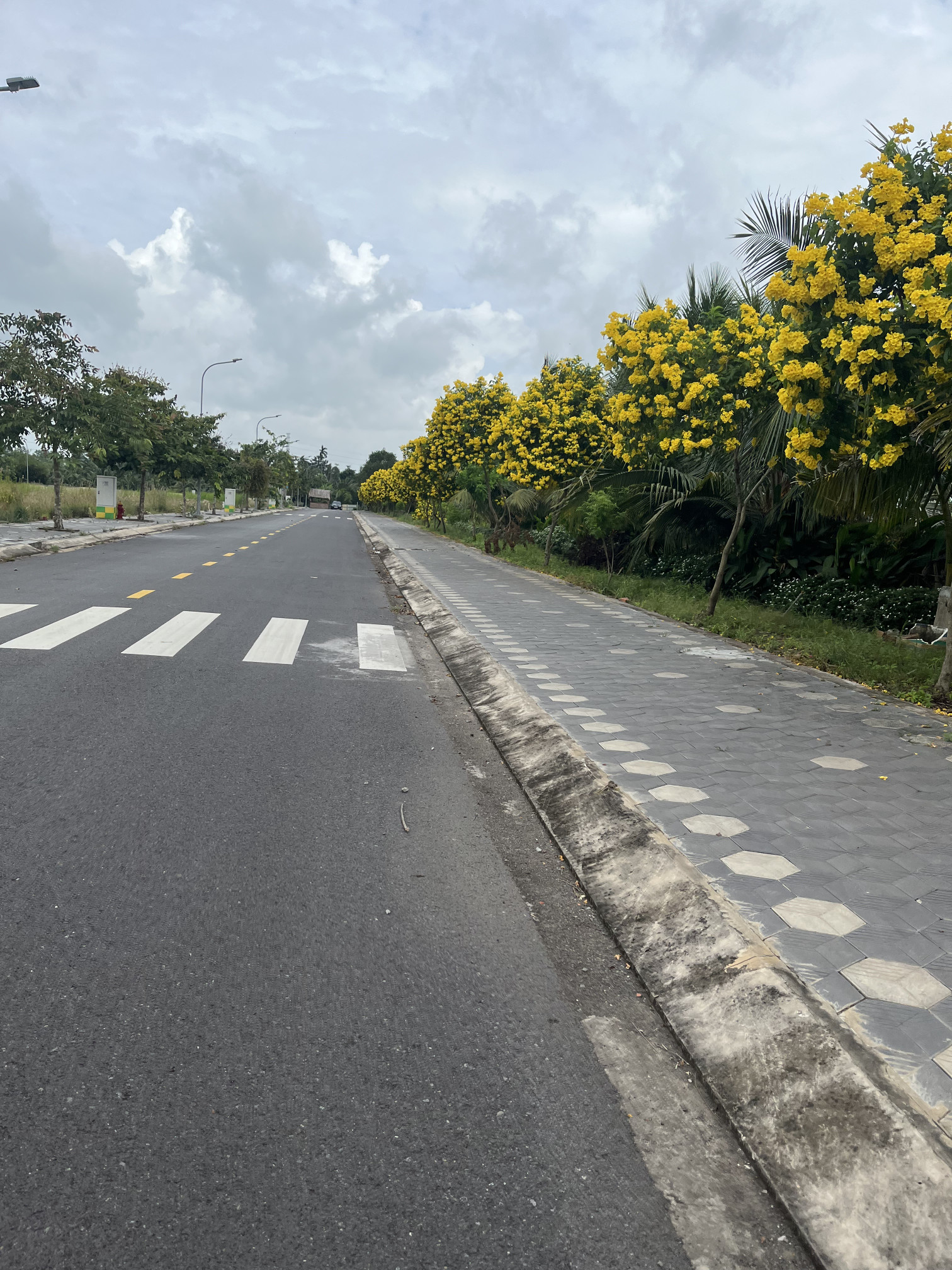 185m² Đất Đẹp – Sổ Riêng – Pháp Lý Chuẩn – Giá Thương Lượng